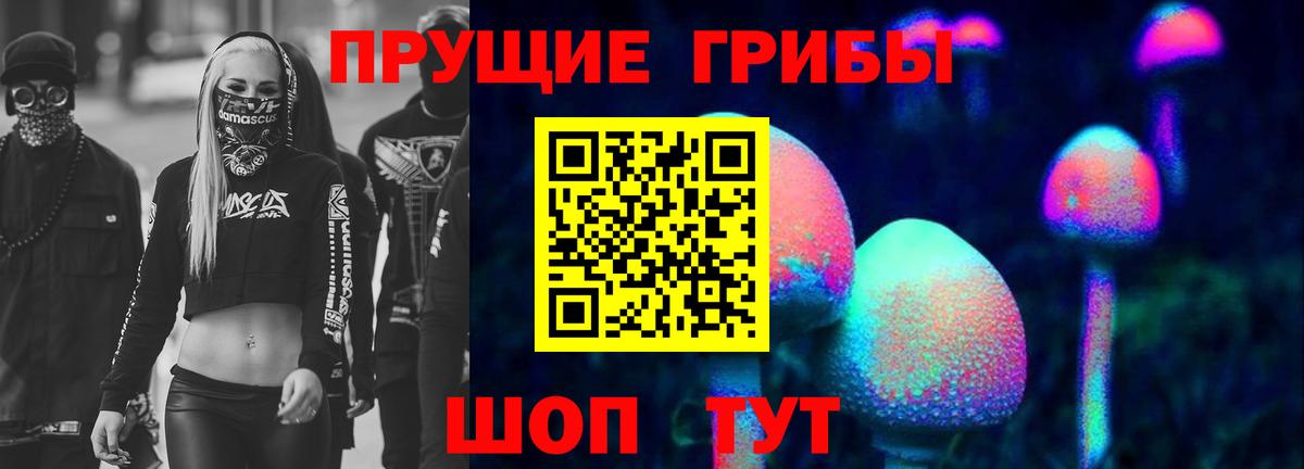 Галлюциногенные грибы Psilocybine cubensis Абинск